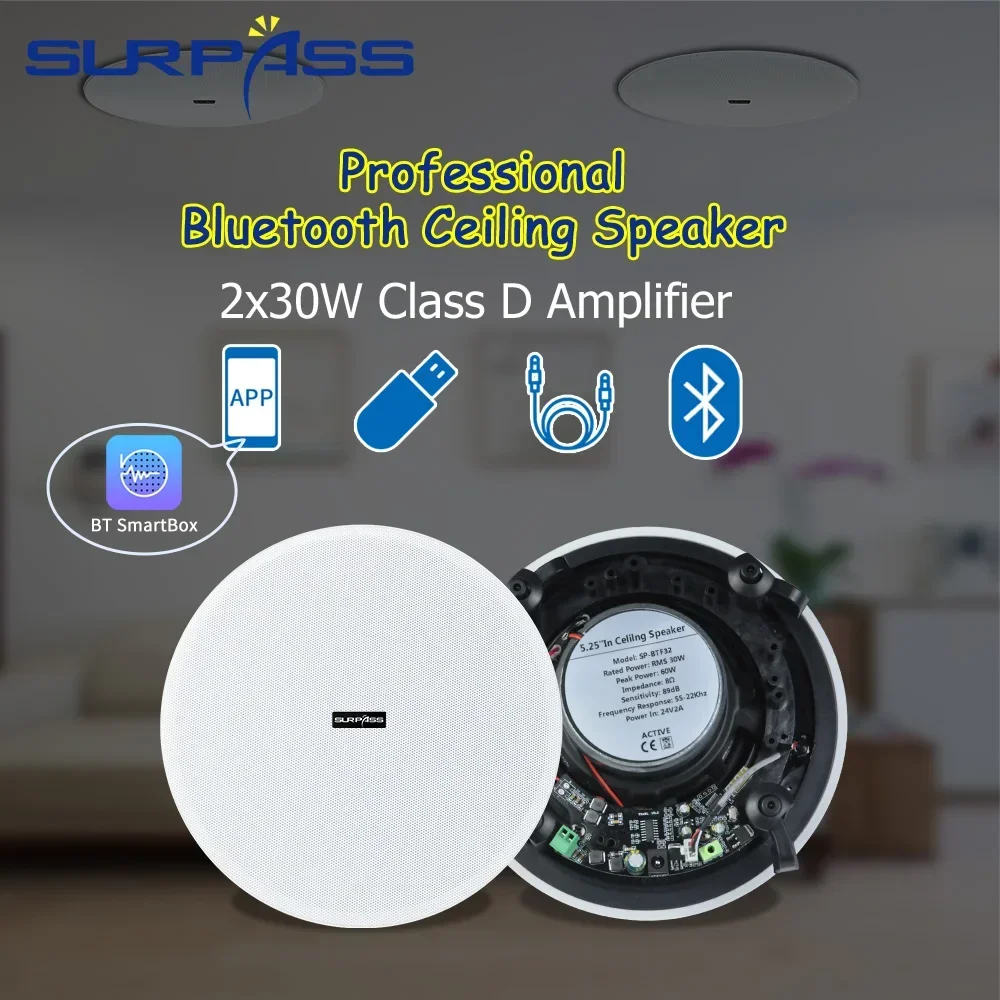 Home Cinema Bluetooth 5.1 - Speaker Bluetooth Plafon 5.25'' dengan Amplifier