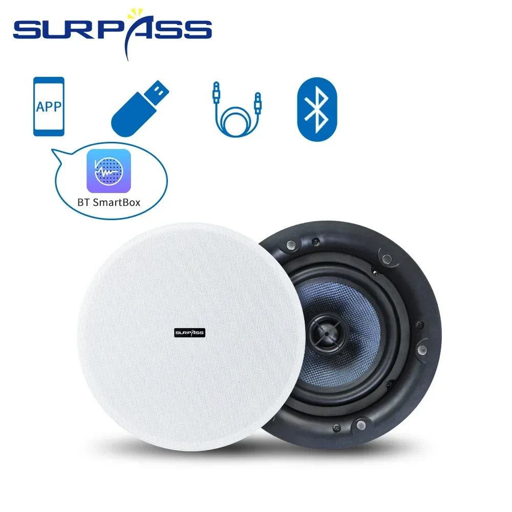 Speaker Bluetooth Plafon 5.25' - Home Cinema Bluetooth 5.1 ulasan dan harga